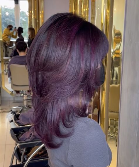 Plum Purple Highlights Brown Hair, Magenta Brunette Hair, Dark Brown And Purple Hair Split Dye, Plum Hair Streaks, Violet Hair Ideas, Grape Color Hair, Purple On Light Brown Hair, Overtone Purple On Brown Hair, Purple On Brown Hair No Bleach