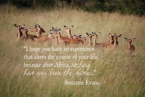 Quotes about Africa Quotes About Africa, Safari Quotes, South African Quote, South Africa Quotes, Africa Quotes, Quotes About Love And Life, Safari Vacation, African Quotes, African Love