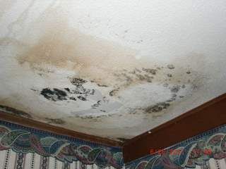 Mold in a ceiling from a roof leak Poquoson Virginia, Water Damaged Ceiling, Roof Leak, Mold Remediation, Home Decor Blog, New Roof, Diy Renovation, Water Damage, Step By Step Guide