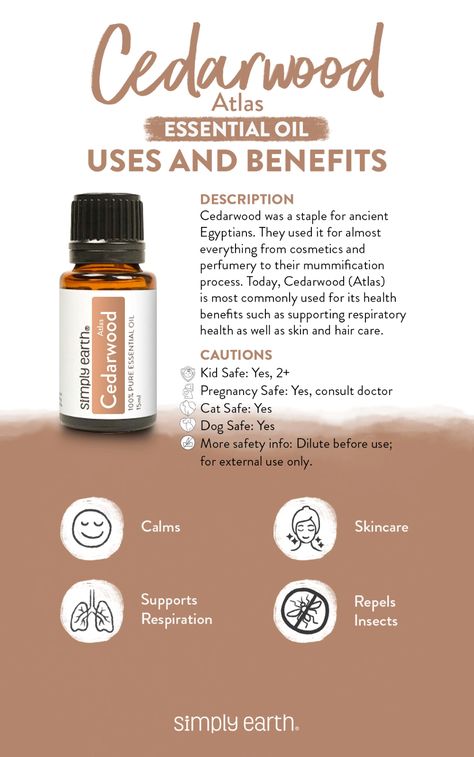 Cedarwood (Atlas) Essential Oil - Uses & Benefits - Simply Earth Blog Cinnamon Essential Oil Benefits, Cedarwood Essential Oil Uses, Essential Oils Cats, Nutmeg Essential Oil, Simply Earth, Cinnamon Benefits, Dog Remedies, Essential Oil Diffuser Blends Recipes, Better Mom