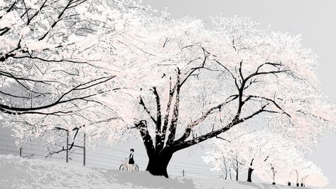 Discreet anime wallpapers - Album on Imgur Japanese Cherry Tree, Japanese Tree, Artistic Wallpaper, Sakura Tree, Widescreen Wallpaper, Wallpaper Dekstop, Tree Wallpaper, White Tree, Painting Wallpaper