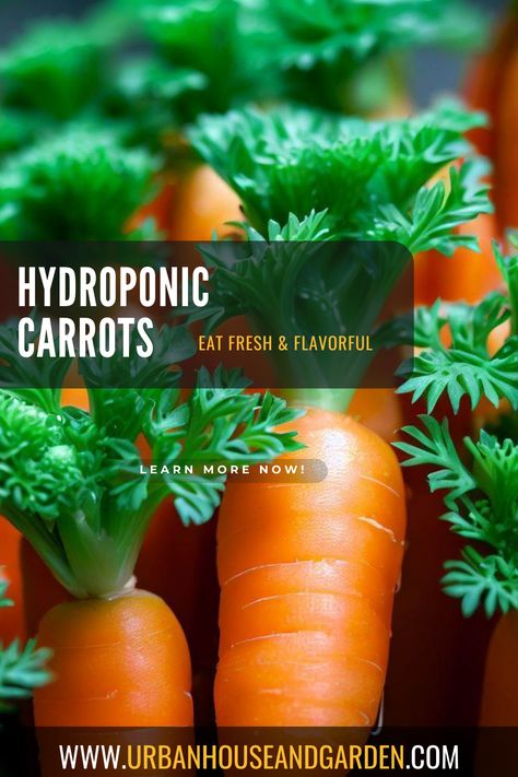 Hydroponic Carrots: Growing Fresh and Flavorful Carrots All Year Round Hydroponic Carrots, Growing Carrots From Seed, Hydro Garden, Carrots Growing, Aero Garden, Indoor Hydroponic Gardening, Hydro Gardening, Hydroponic Gardening System, Hydroponic Vegetables