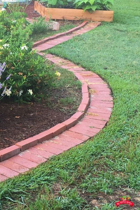 Repurpose Projects, Brick Garden Edging, Prairie Planting, Rock Garden Plants, Garden Flower Beds, Brick Garden, Herb Garden Design, Vegetable Garden Diy, Diy Projektit