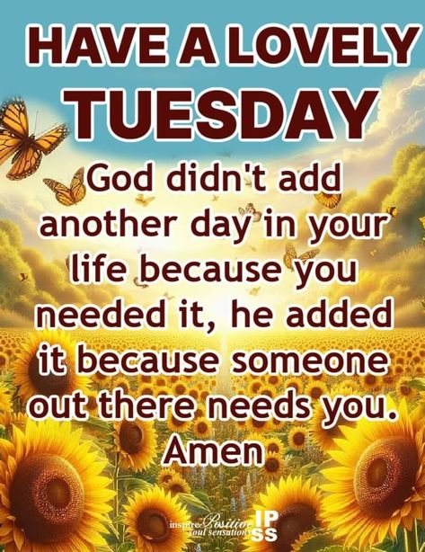 Happy Tuesday Quotes Inspiration, Inspire Positive Soul Sensations, Tuesday Blessings, Happy Tuesday Quotes, Monthly Quotes, Tuesday Quotes, Women's Ministry, Good Morning Inspirational Quotes, Morning Inspirational Quotes