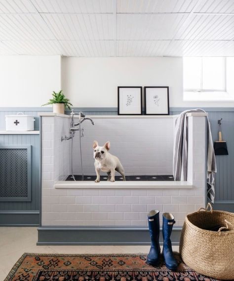 Pet Washing Station, Wash Station, Washing Station, Kate Marker Interiors, Dog Washing Station, Boutique Ideas, Dog Wash, Dog Rooms, Dog Shower