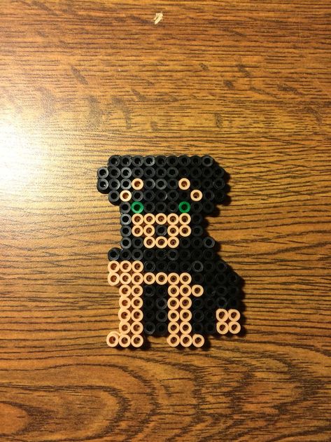 Rottweiler | Perler beads designs, Pearl beads pattern, Perler beads Ironed Beads, Melt Beads Patterns, Hamma Beads Ideas, Perler Creations, Melty Bead Patterns, Pearl Beads Pattern, Easy Perler Beads Ideas, Beads Pattern, Fusion Beads