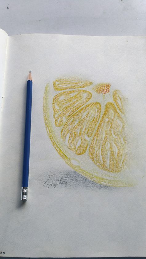 Close Up Drawing, Lemon Drawing, Gcse Textiles, Lemon Painting, Water Color Pencil, Observational Drawing, Pencil Crayon, Colored Pencil Drawing, Drawing Pencil