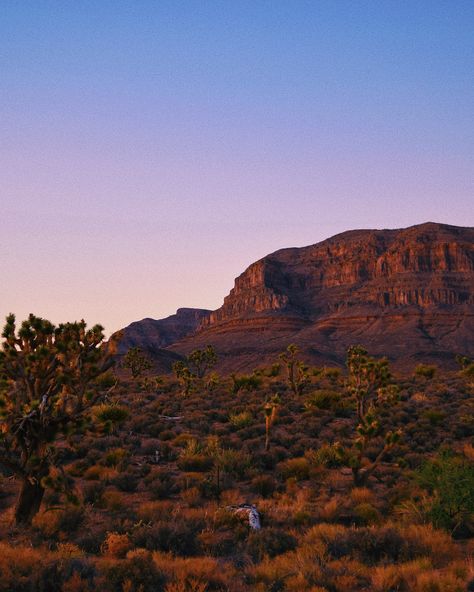 📍Grand Canyon • • • I’ve been reminiscing on our trip out west a couple years ago! There were so many remarkable landscapes that are so different from the ones we have back at home! The Grand Canyon definitely stands out as one of the best! 🌄 • • • Tags: #grandcanyon #nationalpark #photography #roadtrip #travel #travelphotography #travelblogger #summer #summervibes Grand Canyon National Park Photography, Canyons Aesthetic, Grand Canyon Aesthetic, Canyon Aesthetic, Colorado Roadtrip, Gran Canyon, Canyon Texas, Grand Canyon West Rim, Grand Canyon Vacation