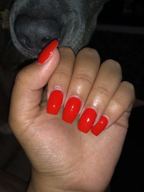 Nail Inspo, Nail Art, Nails, Red, Beauty, Art, Nail Arts