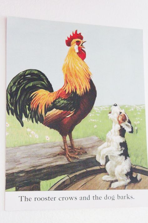 Rooster-Art-Card by JBS Merchantile #CLFair #CLFairfind Chicken Pictures, Wire Fox Terriers, Rooster Art, Book Page Art, Wire Fox Terrier, Fox Terriers, Farm Art, Chicken Art, Antique Illustration