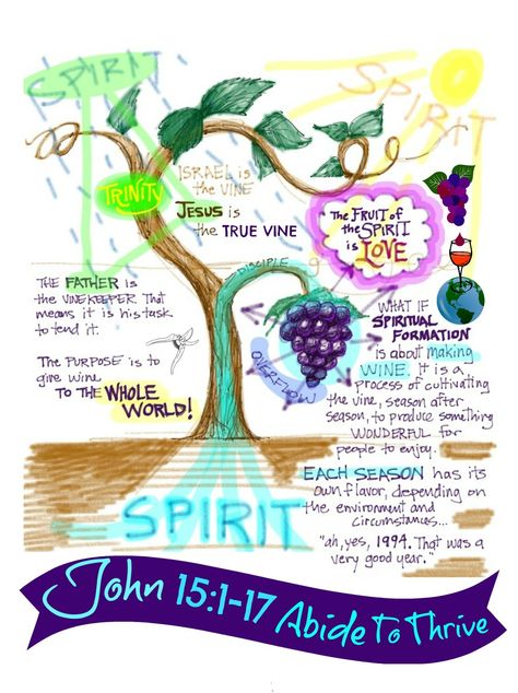 Steve Thomason's illustration of the True Vine and the branch from John 15. Visual for as the believer abides the Holy Spirit actively empowers us to bear fruit for God's glory. I Am The True Vine Activities, Vine And Branches, Hebrew Lessons, Bible Drawing, True Vine, Fruits Of The Spirit, Spiritual Formation, Bible Journal Notes, Learn Hebrew