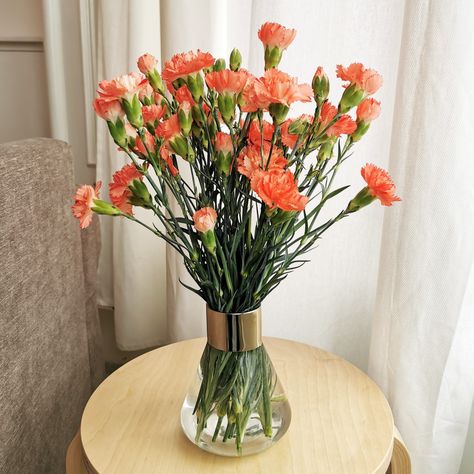 Unique vase holding gorgeous orange carnations. Details in link ❤️ #homedecor #interiordesign #vase #flowers #carnations #ZARAhome #plants #pretty #nature #houseplants #interiordesign Orange Carnations, Flowers Carnations, Carnation Flowers, Vase Flowers, Flowers In Vase, Unique Vase, Pretty Nature, Carnation Flower, Vase Arrangements