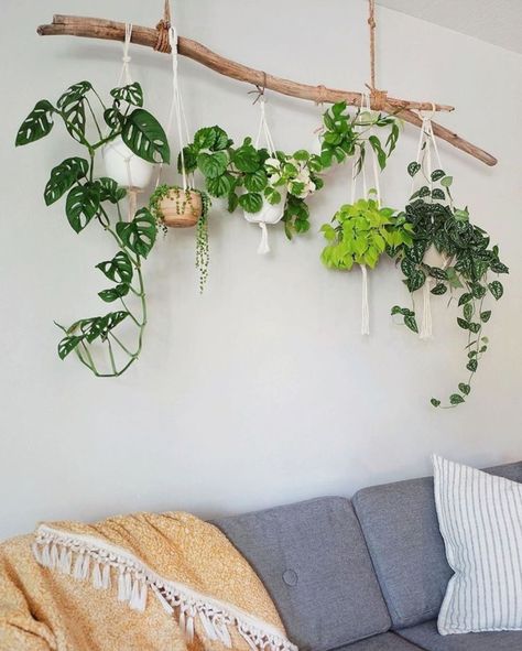 Hanging Plants From Ceiling, Corner Hanging Plant Living Rooms, Hanging Plant Ladder Ceiling, Driftwood Plant Hanger Ceiling, Apartment Friendly Plant Hanging, Ceiling Plant Hanger Horizontal, Boho Canvas Art, Indoor Plant Wall, Hanging Plant Holder