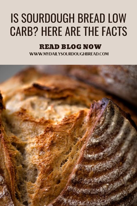 Sour Dough Bread Nutrition, Sourdough Low Carb Recipes, Bread Inclusion Ideas, Cardiologist Bread Recipe, Keto Sourdough Recipes, Is Sourdough Bread Healthy, High Fiber Sourdough Bread, Sourdough Benefits Health, Thm Sourdough Recipes