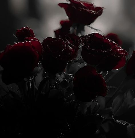 Vampcore Aesthetic, Hunting Adeline, Dark Roses, Red Core, Roses Aesthetic, Vampire Aesthetic, Dark Red Roses, Aesthetic Goth, Pandora Rose