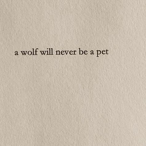 Wolf Quotes Aesthetic, Lone Wolf Aesthetic, Wolf Poetry, Wolves Aesthetic, Wolf Poem, Wolf Pack Quotes, Wolf Quote, Brock Rumlow, Pretty Poetry