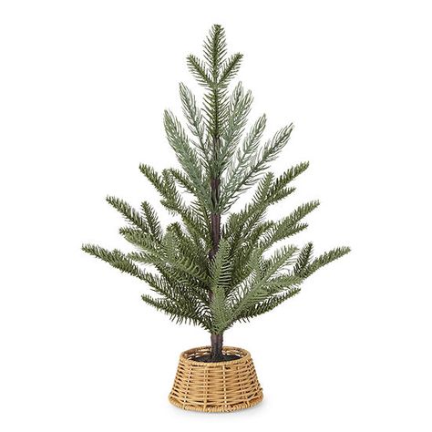 Pine Branches, Christmas Tabletop, Tabletop Christmas Tree, Pine Branch, Holiday Magic, North Pole, Table Top, 10 Things, Christmas