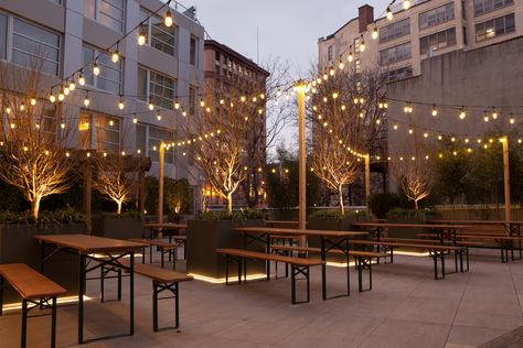 Pizza Y Vino, Beer Garden Design, Beer Garden Ideas, Outdoor Restaurant Patio, Outdoor Beer Garden, Brewery Design, Outdoor Restaurant Design, Outdoor Eating, Outdoor Cafe