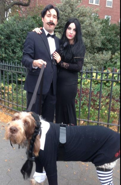 Adams Family dog costume                                                       … Wednesday Addams Dog Costume, Wednesday Dog Costume, Hocus Pocus Dog Costume, Adams Family Dog Costume, Unique Couple Halloween Costumes With Dog, Family Costumes With Dog, Family Dog Costumes, Adams Family Costume, Geeky Halloween Costumes