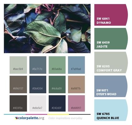 Paint colors from ColorSnap by Sherwin-Williams Sherwin Williams Jadite Green, Jadite Green, Comfort Gray, Oyster Bay, Color Balance, Color Grouping, Color Swatch, Exterior House Colors, Sherwin Williams