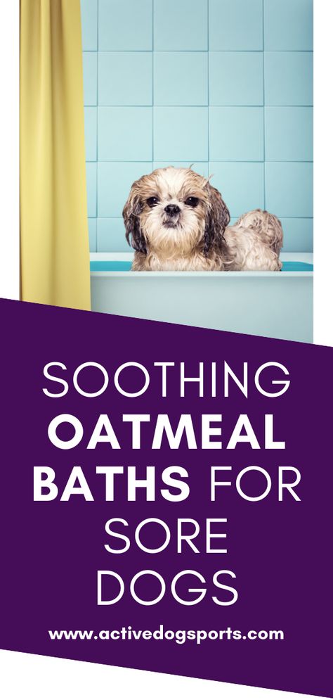 Most dogs get itchy skin from time to time. It is our job as dog parents to help them find relief and soothe the irritated areas. Learn how an oatmeal bath can help! Soothing Bath For Itchy Dog, Oatmeal Bath For Dogs, Itchy Dog Remedies, Dog Mange, Milk Bath Recipe, Oatmeal Bath, Itchy Dog, Old Fashion Oats, Dry Itchy Skin