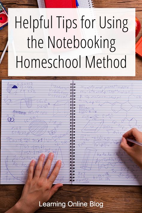 Types Of Homeschooling Methods, Homeschool Notebooking Examples, Microschool Ideas, Homeschool Notebook, Micro School, Notebooking Homeschool, Homeschool Notebooking, Summer Notebook, Homeschool Curriculum Planning