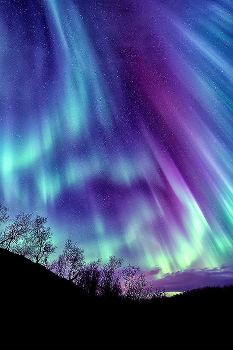 Aurora Southern Lights, Northern Lights (aurora Borealis), Aurora Borealis Northern Lights, Natural Phenomena, Beautiful Sky, Science And Nature, Aurora Borealis, Amazing Nature, Jellyfish