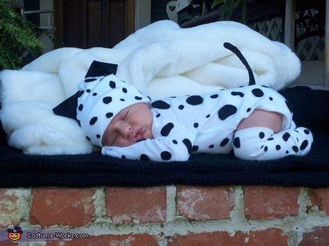 Dalmatian Halloween Costume, Dalmatian Halloween, Dalmatian Costume, Newborn Halloween Costumes, Girl Halloween Costumes, Baby Halloween Outfits, Newborn Halloween