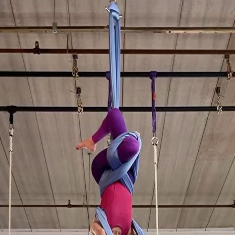 Aerial Arts, Yoga Moves, Aerial Silks, Aerial Yoga, Golden Heart, Music Box, The Gym, Gym, Yoga