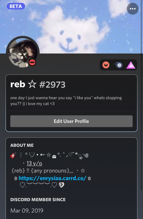 Username Ideas Discord, Discord Status Ideas, Discord Status, Discord Bio, Discord Theme, Discord Layout, Discord Ideas, Status Ideas, Cute Bios