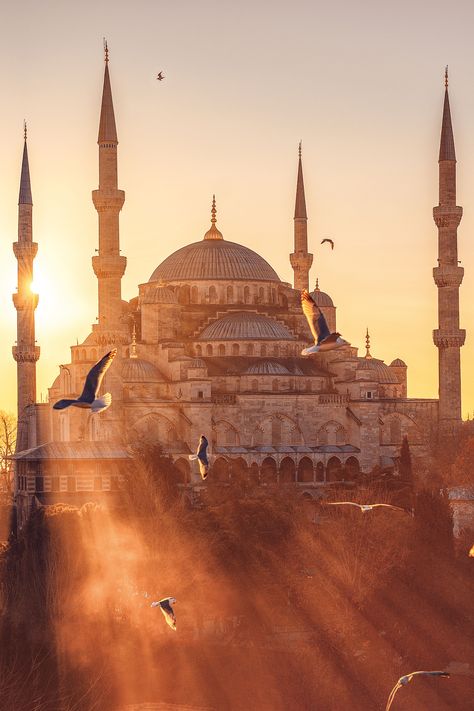 Arabian Desert Aesthetic, Blue Mosque Turkey, Unesco Heritage Sites, Pictures Of Turkeys, Turkey Culture, The Blue Mosque, Turkey Tour, Building Aesthetic, Mosque Art