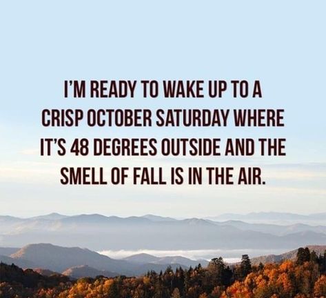 Fall Is Coming Quotes Funny, All Things Fall, Weather Quotes, Fall Is In The Air, Fall Mood Board, Autumn Magic, I Love Fall, Autumn Scenes, Autumn Quotes