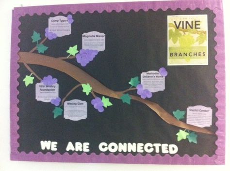 Vine Bulletin Board, I Am The Vine You Are The Branches Bulletin Board, Catechism Crafts, Vine And Branches, Bullentin Boards, Church Bulletin Boards, Church Bulletin, Catholic School, School Staff