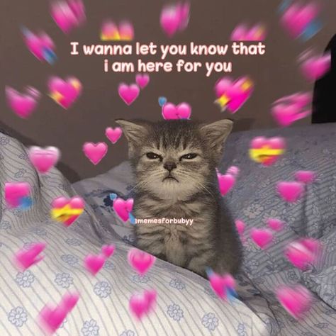 Wholesome Pictures For Him, Cute Wholesome Pictures, I Love U Meme, Wholesome Texts, 2019 Nostalgia, Cute Couple Memes, Wholesome Quotes, Cute Wholesome, Bf Memes