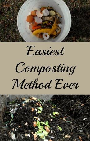 Composting Tips, How To Start Composting, Small Vegetable Garden, Composting 101, Composting Methods, Build A Garden, Grow A Garden, Diy Compost, How To Make Compost