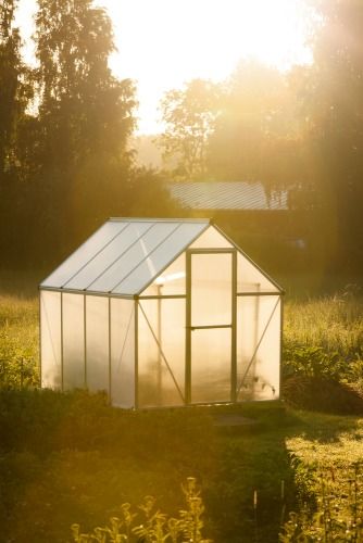 DIY Bamboo Greenhouse - how to build a frugal greenhouse out of bamboo and plastic sheeting Cold Frame Gardening, Modern Greenhouses, Sustainable Diy, Diy Greenhouse Plans, Best Greenhouse, Outdoor Greenhouse, Build A Greenhouse, Indoor Greenhouse, Home Greenhouse