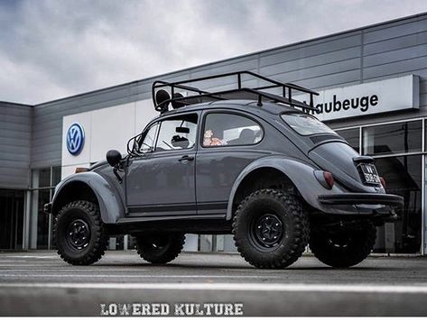 Vw Beetle Overland, Fusca Cross, Baja Beetle, Vw Baja Bug, Vw Baja, Hot Vw, Bug Car, Baja Bug, Sand Rail