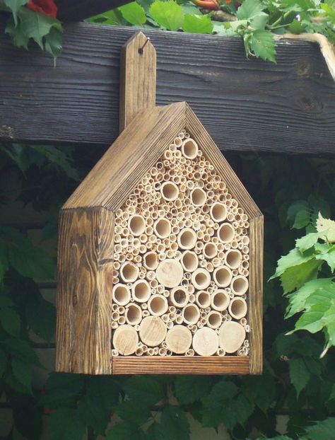 Louisiana Backyard, Mason Bee House, Mini Beasts, Bee Houses, Bee Friendly Garden, Bee Hotel, Mason Bees, Bug Hotel, Insect Hotel