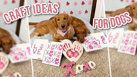 Dog Paw Valentines Craft, Dog Valentines Craft, Dog Paw Print Valentine Craft, Pet Influencer, Kid Diy, Dog Craft, Paw Painting, Paw Art, Doggy Daycare