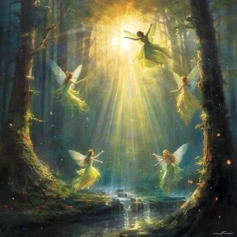 Dancing In The Forest, Faery Art, Fairy Paintings, 동화 삽화, Fairies Dancing, Fairy Pictures, Fairy Artwork, Fairy Aesthetic, Fantasy Forest