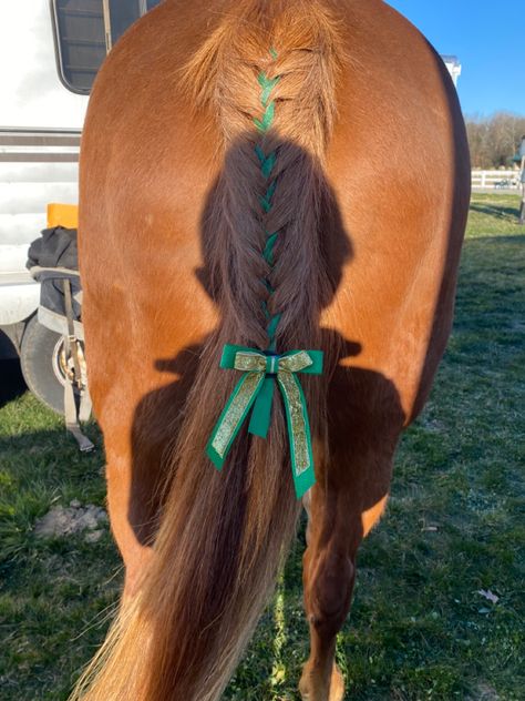 Tail Braids Horse, Horse Braids Tutorial, Horse Tail Hairstyle, Horse Mane Styles, Horse Hairstyles, Horse Braids, Horse Mane Braids, Horse Hair Braiding, Horse Braiding