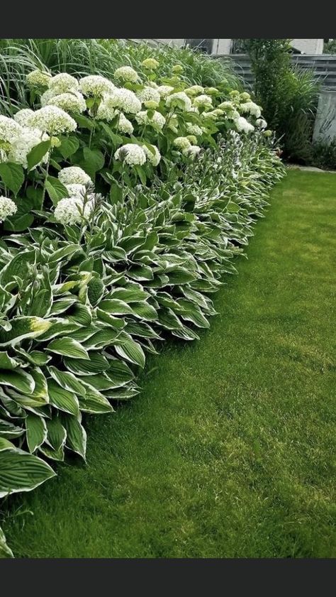 Hydrangeas And Hostas, Design A Garden, Hydrangea Landscaping, Small Garden Ideas, Garden Small, Hydrangea Garden, Fence Landscaping, Home Garden Design, Home Landscaping