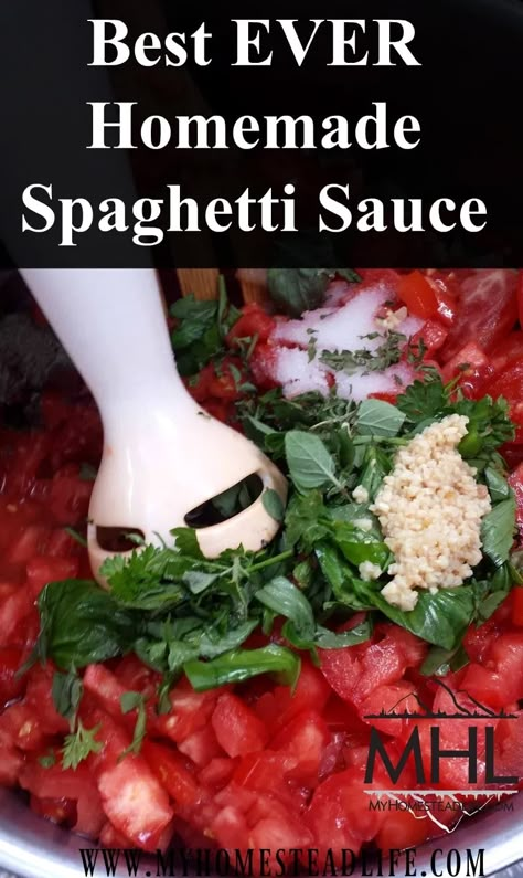 Coastal Homestead, The Best Spaghetti Sauce, Spaghetti Sauce From Scratch, Df Meals, Best Spaghetti Sauce, Homemade Spaghetti Sauce Recipe, Canned Spaghetti Sauce, Cooking With Herbs, Canning 101