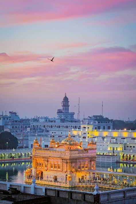 Amritsar Photos, Download The BEST Free Amritsar Stock Photos & HD Images Golden Temple Amritsar Photography Hd, Aesthetic Pink Wallpapers, Gurudwara Sahib Wallpaper, Harmandir Sahib Photography, Pink Aesthetic Wallpapers, Golden Temple Wallpaper, Cute Pink Aesthetic, 50 Aesthetic, Golden Temple Amritsar