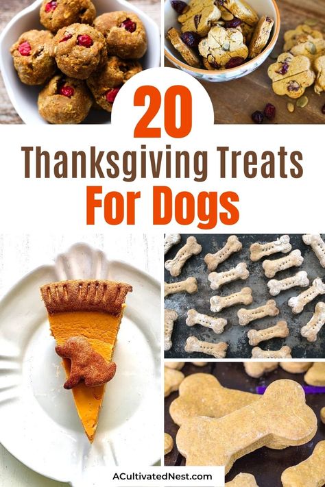 Cheese Treats For Dogs, Rice Dog Treats, Thanksgiving Dog Treats Easy, Meaty Dog Treats, Dog Friendly Thanksgiving Food, Thanksgiving Dog Treat Recipes, Dog Friendly Thanksgiving Dinner, Thanksgiving Food For Dogs, Pumpkin Pie Dog Treats