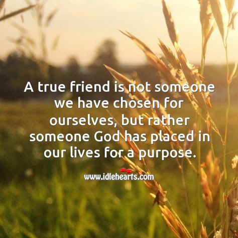 A true friend is not someone we have chosen for ourselves, but rather someone God has placed in our lives for a purpose. Christian Friendship Quotes, Friends Bible Verse, Friendship Bible, Quotes For Best Friends, Impressive Quotes, Praying For Friends, Christian Friendship, Quotes About Friendship, Cool Quotes