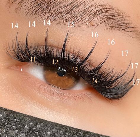 Whispy Lashes Extensions Map, Lash Maps, Eyelash Extensions Salons, Lash Map, Evening Eye Makeup, Lash Mapping, Best Lash Extensions, Lashes Fake Eyelashes, Wispy Eyelashes