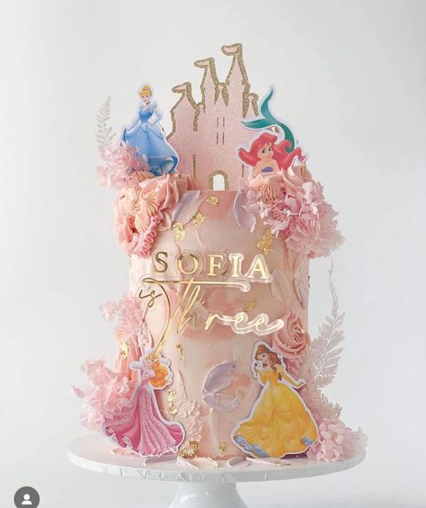 Princess Cake Two Tier, Small Princess Cake, Fairies Cake, Disney Princess Birthday Cake, Disney Princess Birthday Cakes, Belle Birthday Party, Hello Party, Belle Birthday, Princess Theme Birthday