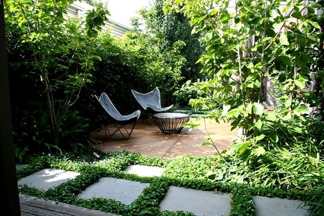 Cosy Courtyard - Bluestone Ashlar Paving Oxford House, French Courtyard, Courtyard Plants, Tiny Gardens, Courtyard Landscaping, Small Courtyard Gardens, Courtyard Design, Potager Garden, Garden Makeover