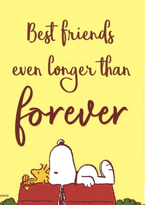 Meaningful Signs, Peanut Characters, Strategy Quotes, Goodbye Cards, Peanuts Quotes, Snoopy Drawing, Special Friendship Quotes, Good Morning Snoopy, December Quotes